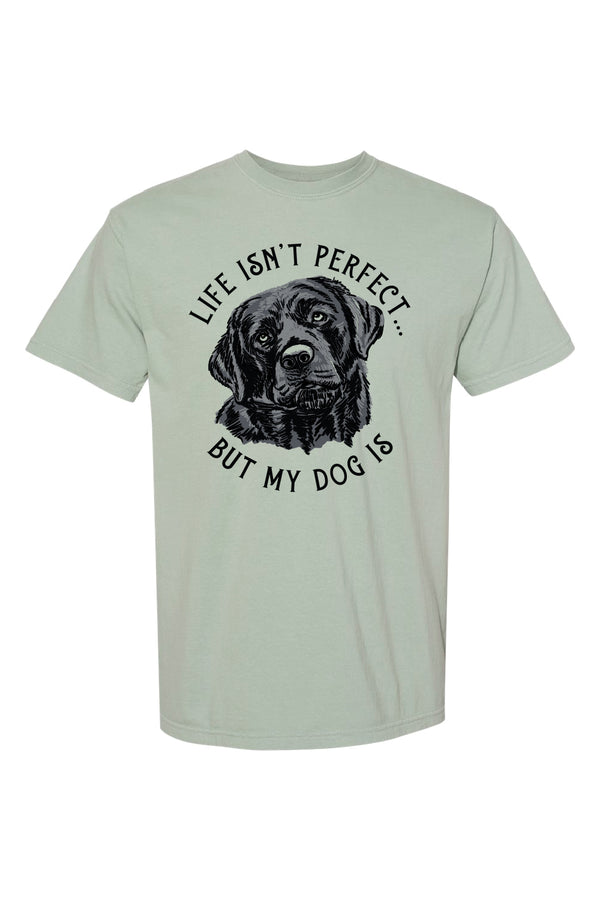 Life Isn't Perfect but My Dog Is Short Sleeve Tee